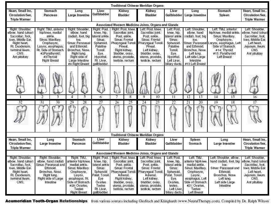 tooth-chart