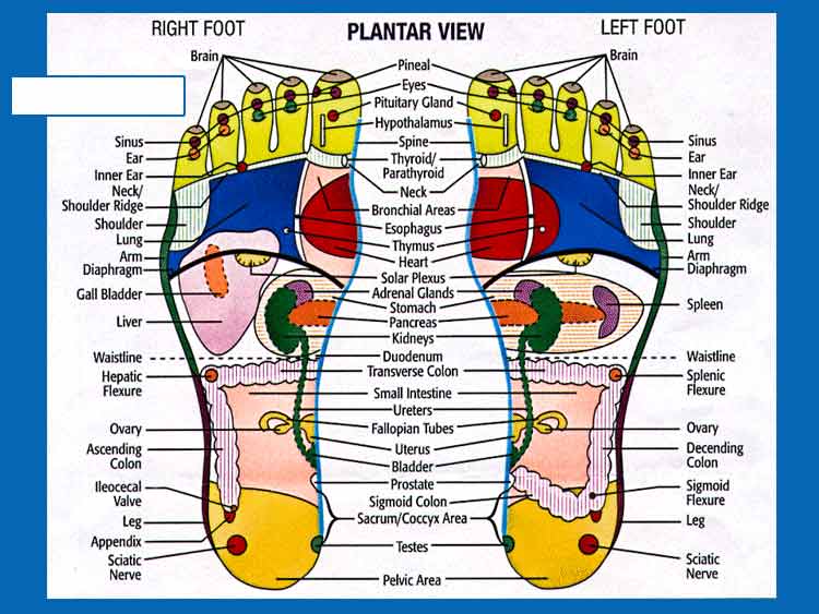 foot-reflexology
