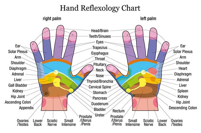 reflexology-hand