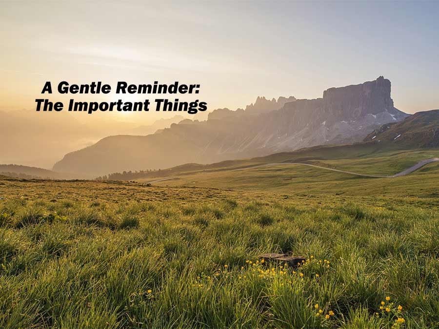 A Gentle Reminder The Important Things Extreme Natural Health News