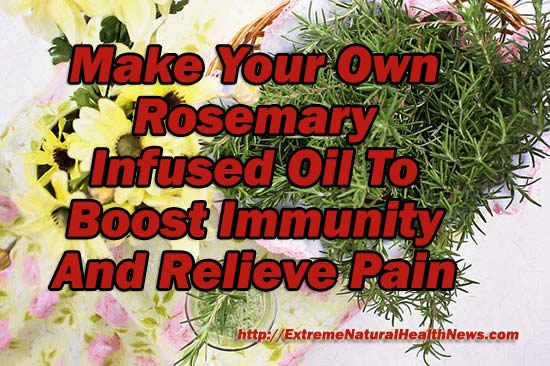 rosemary infused oil