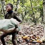 Cocoa-Child-Laborer