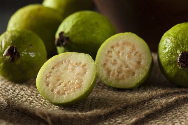 guava