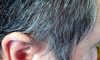 Gray Hair