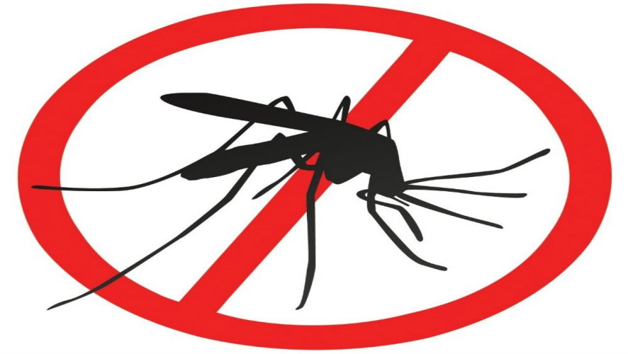 repellent