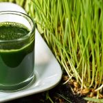 Wheatgrass Juice