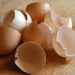 Egg shells