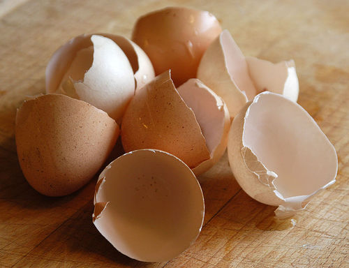 Egg shells