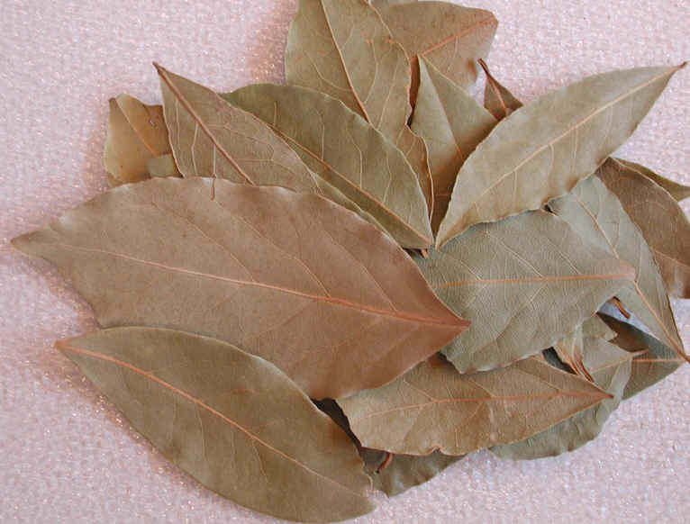 burn Bay Leaves